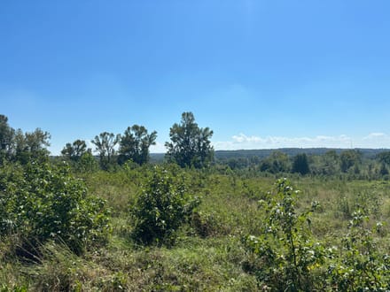 Pine Hill North 