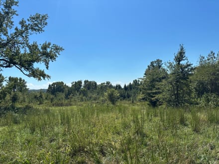 Pine Hill North 