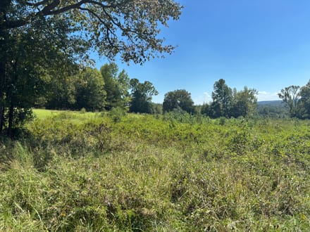 Pine Hill North 