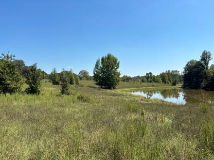 Pine Hill North 