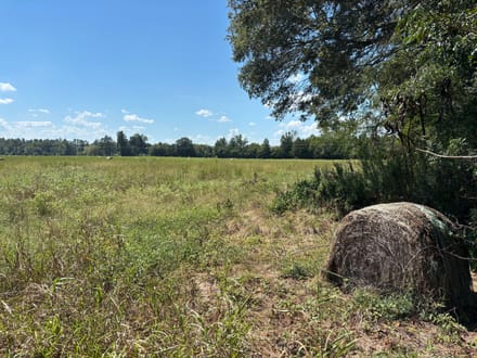 Pine Hill South