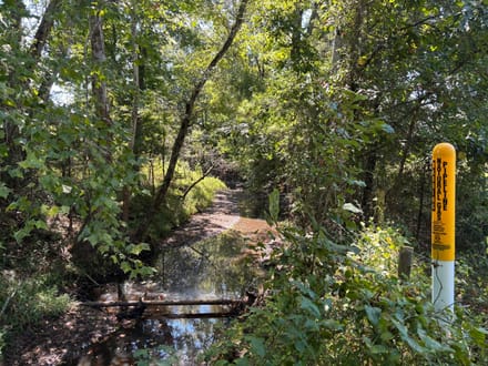 Pine Hill South