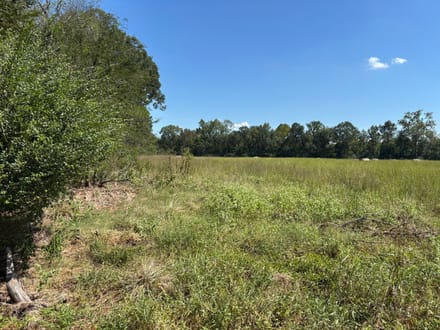 Pine Hill South