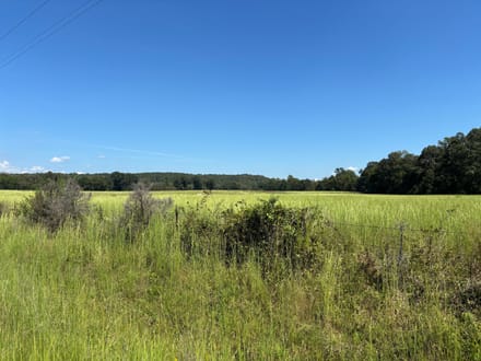 Pine Hill South
