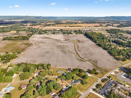 111 acres in Winchester