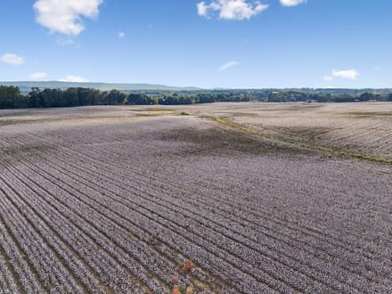 111 acres in Winchester