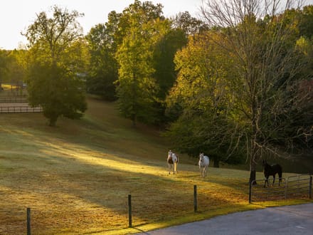 48 Acre Estate on Leipers Creek