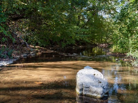 48 Acre Estate on Leipers Creek