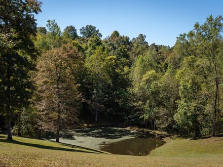 48 Acre Estate on Leipers Creek