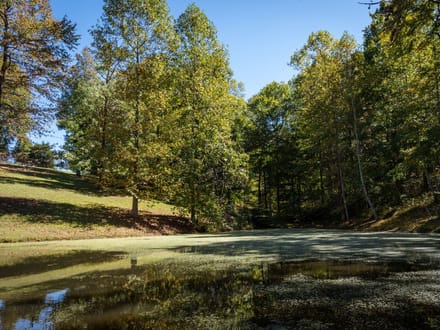 48 Acre Estate on Leipers Creek