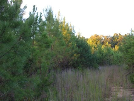 Union Grove