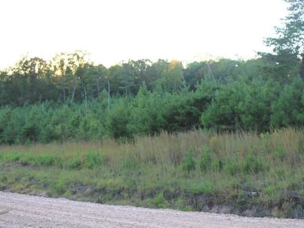 Union Grove