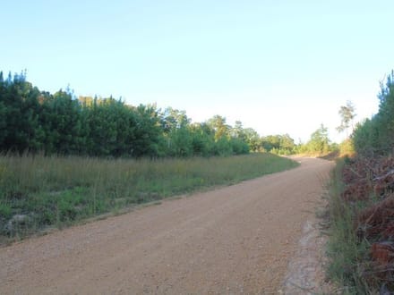 Union Grove