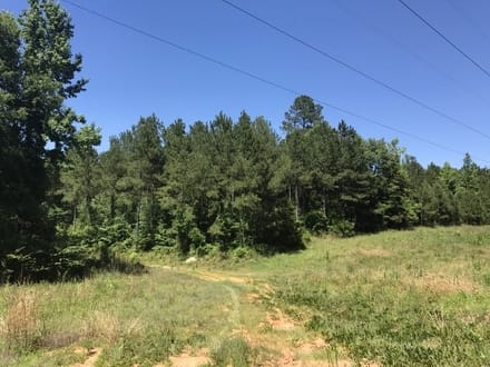 Ceaser Creek
