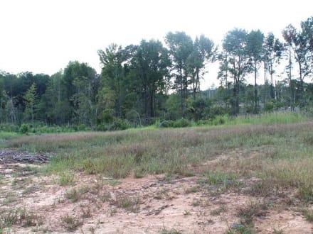 Ceaser Creek