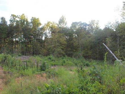 Ceaser Creek