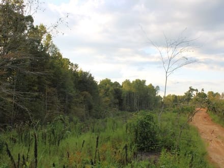 Ceaser Creek