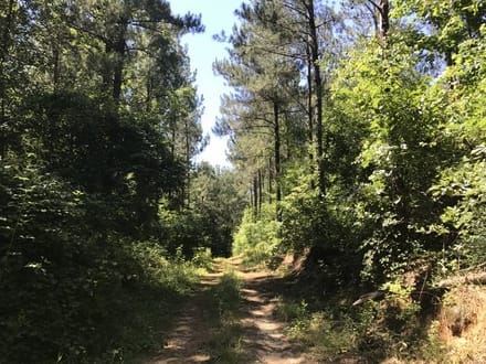 Ceaser Creek