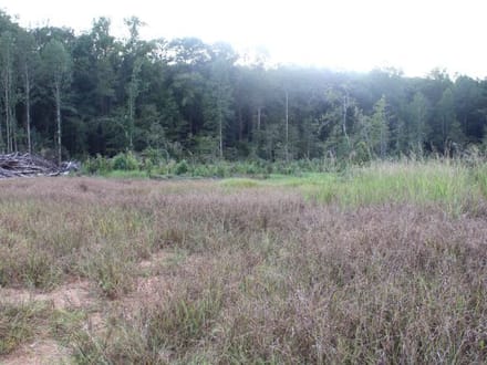 Ceaser Creek