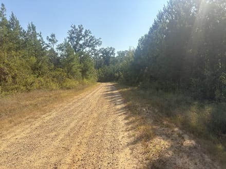 Lost Corner 80