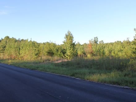 Boley Springs
