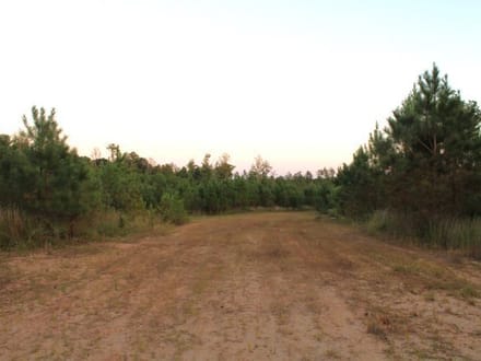 Boley Springs