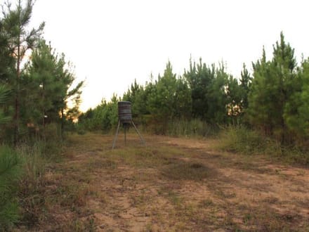 Boley Springs