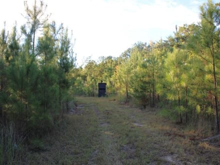 Boley Springs