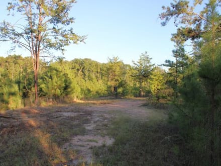 Boley Springs