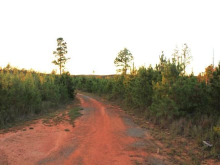 Boley Springs