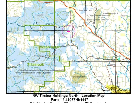 NW Timber Holdings North