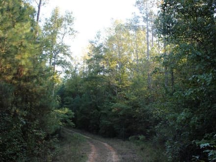 Lazy Creek
