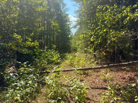 Hells Creek