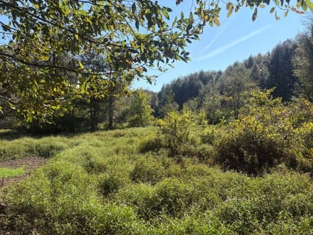 Hells Creek