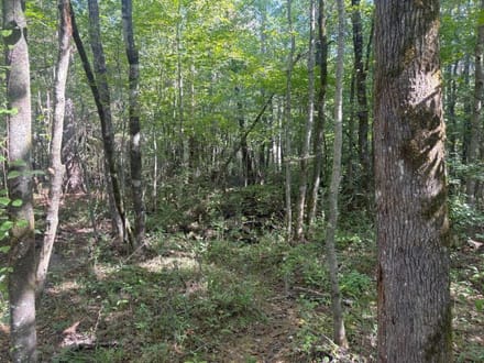 Hells Creek