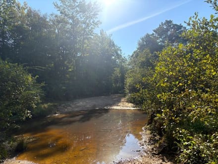 Hells Creek