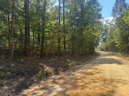 Hells Creek