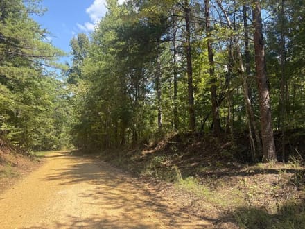 Hells Creek