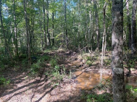 Hells Creek