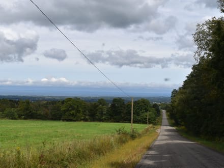 Concord Drive