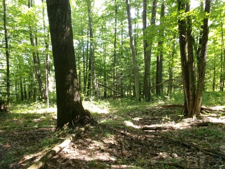 Pumpelly Playground