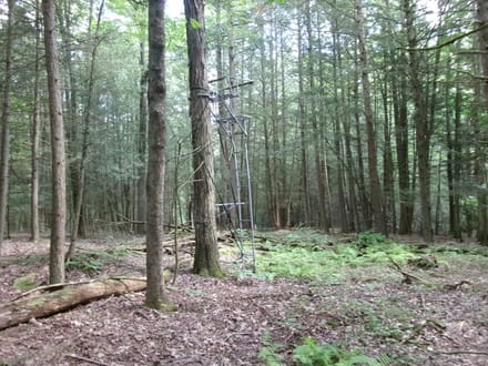Pumpelly Playground