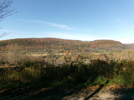 Ripple Road Recreation