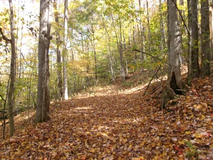 Ripple Road Recreation