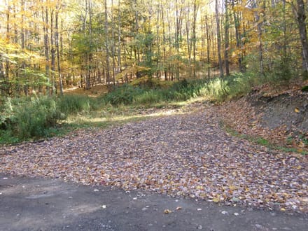 Ripple Road Recreation