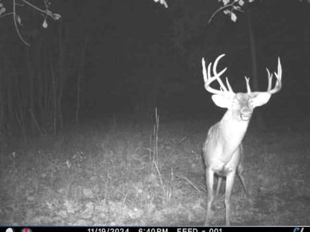 100 Acres N 4210 Rd