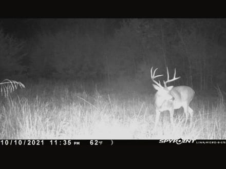 100 Acres N 4210 Rd