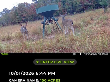 100 Acres N 4210 Rd