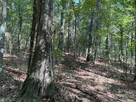1.77 Acre Homesite