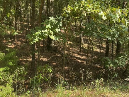 1.77 Acre Homesite